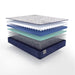 Sealy Lane Innerspring Mattress - Massey's Furniture Barn (Watertown, NY) 