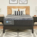 Albany Foam Mattress - Massey's Furniture Barn (Watertown, NY) 