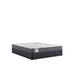 Sealy Paisley Foam Mattress - Massey's Furniture Barn (Watertown, NY) 