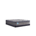 Sealy Remey Innerspring Mattress - Massey's Furniture Barn (Watertown, NY) 