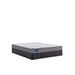 Sealy First & Park Foam Mattress - Massey's Furniture Barn (Watertown, NY) 
