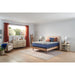 Sealy Refine Foam Mattress - Massey's Furniture Barn (Watertown, NY) 