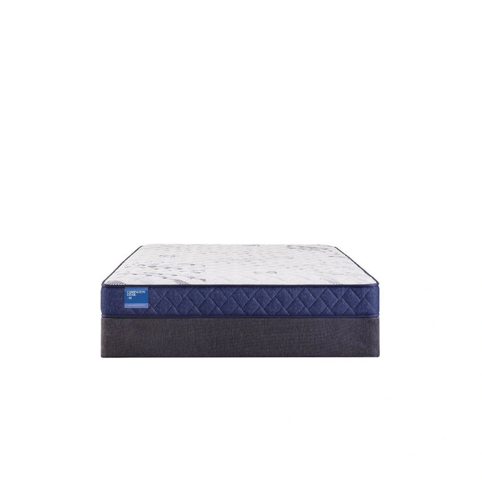 Sealy Resting Manor Foam Mattress - Massey's Furniture Barn (Watertown, NY) 