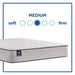 Halliday II Innerspring Mattress - Massey's Furniture Barn (Watertown, NY) 
