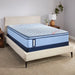Dudley Spring Mattress - Massey's Furniture Barn (Watertown, NY) 