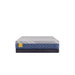 Sealy Featherton Hybrid Mattress - Massey's Furniture Barn (Watertown, NY) 
