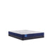 Sealy Resting Manor Foam Mattress - Massey's Furniture Barn (Watertown, NY) 