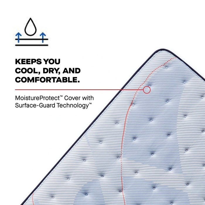 Plainfield Mattress - Massey's Furniture Barn (Watertown, NY) 