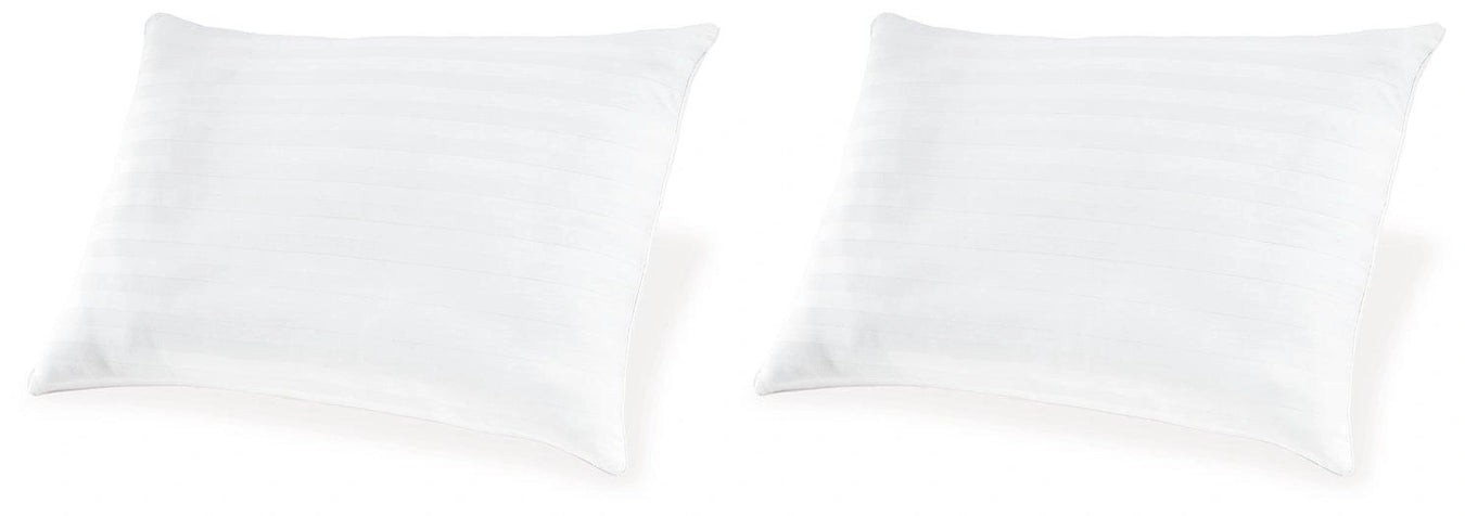 Zephyr 2.0 Collection