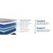Golden Spirit Spring Mattress - Massey's Furniture Barn (Watertown, NY) 
