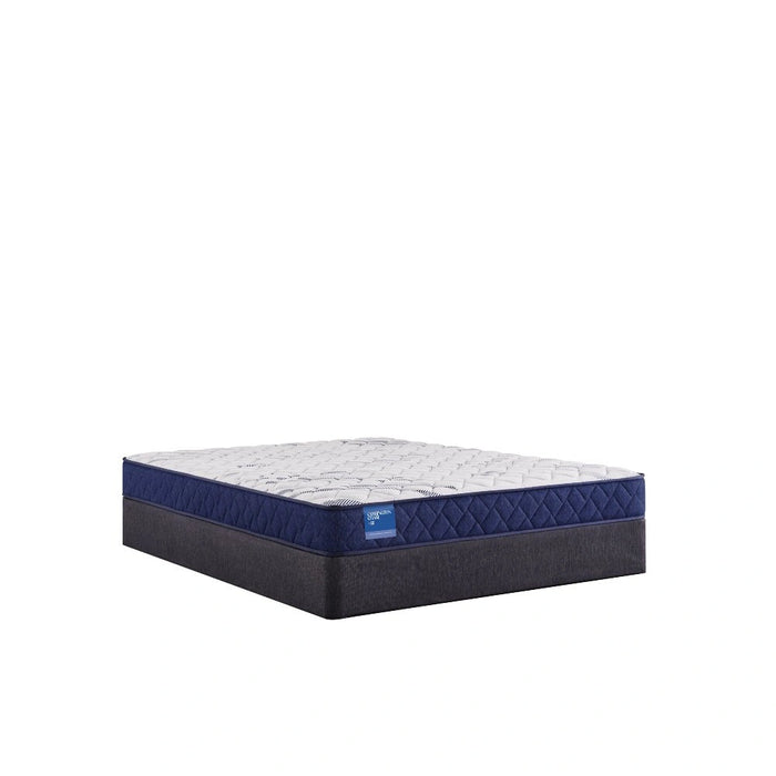 Sealy Resting Manor Foam Mattress - Massey's Furniture Barn (Watertown, NY) 