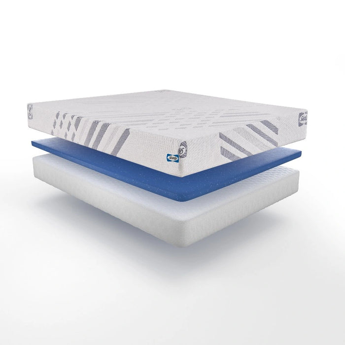 Sealy Provision Foam Mattress - Massey's Furniture Barn (Watertown, NY) 