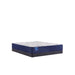 Sealy Murry Hill Innerspring Mattress - Massey's Furniture Barn (Watertown, NY) 