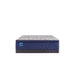 Sealy Midnight Cove Innerspring Mattress - Massey's Furniture Barn (Watertown, NY) 