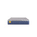 Sealy Bridgerton Hybrid Mattress - Massey's Furniture Barn (Watertown, NY) 