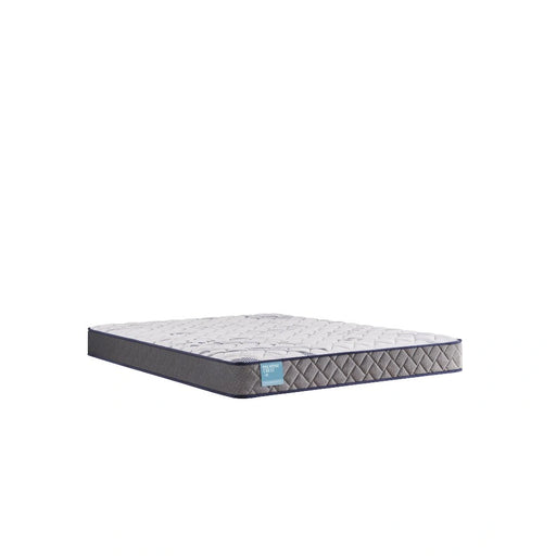 Sealy Nori Foam Mattress - Massey's Furniture Barn (Watertown, NY) 