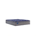 Sealy Eighth & Park Innerspring Mattress - Massey's Furniture Barn (Watertown, NY) 