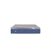 Sealy Benedict Foam Mattress - Massey's Furniture Barn (Watertown, NY) 