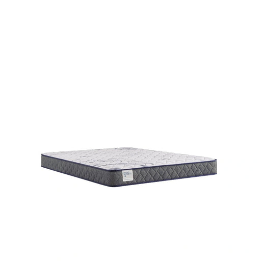Sealy Paisley Foam Mattress - Massey's Furniture Barn (Watertown, NY) 