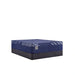 Sealy Annapolis Hybrid Mattress - Massey's Furniture Barn (Watertown, NY) 