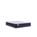Sealy Lane Innerspring Mattress - Massey's Furniture Barn (Watertown, NY) 