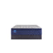 Sealy Midnight Cove Innerspring Mattress - Massey's Furniture Barn (Watertown, NY) 