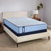 Dudley Spring Mattress - Massey's Furniture Barn (Watertown, NY) 