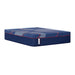 Sealy Brenham II Hybrid Mattress - Massey's Furniture Barn (Watertown, NY) 