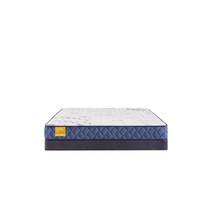 Sealy Erie Foam Mattress - Massey's Furniture Barn (Watertown, NY) 