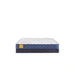 Sealy Erie Foam Mattress - Massey's Furniture Barn (Watertown, NY) 