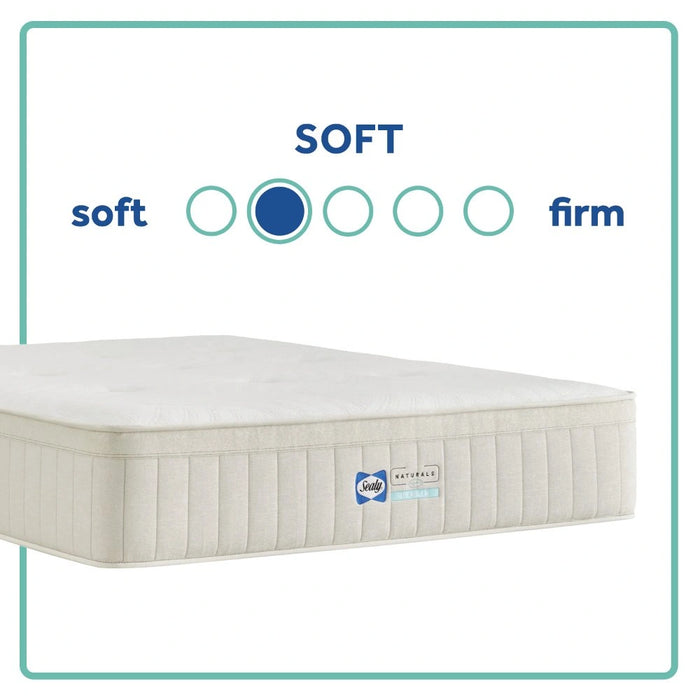 Sealy® Naturals™ Hybrid Mattress - Massey's Furniture Barn (Watertown, NY) 