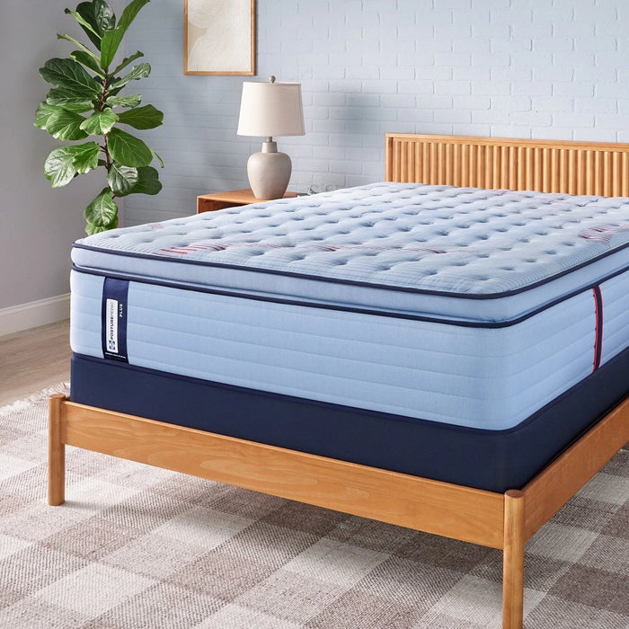 Equus Spring Mattress - Massey's Furniture Barn (Watertown, NY) 
