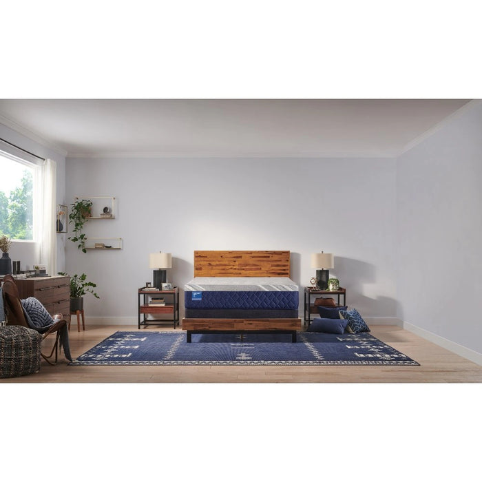 Sealy Midnight Cove Hybrid Mattress - Massey's Furniture Barn (Watertown, NY) 