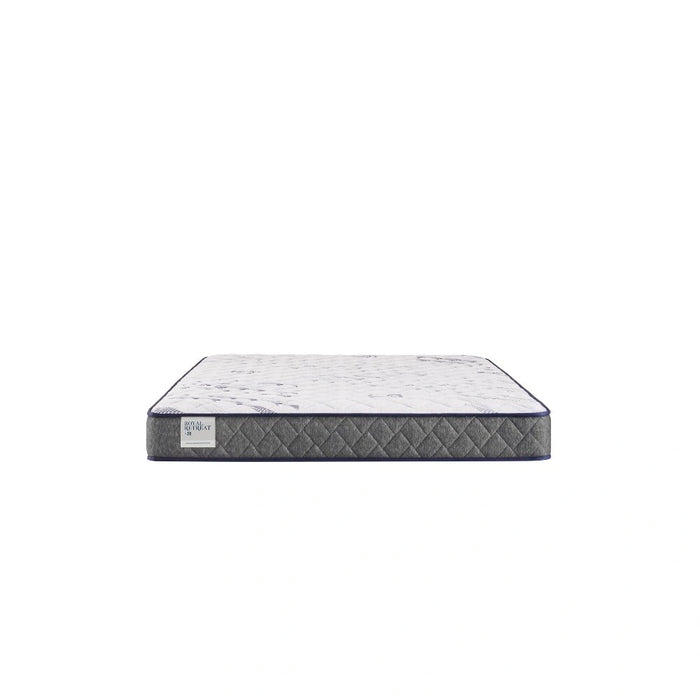 Sealy Paisley Foam Mattress - Massey's Furniture Barn (Watertown, NY) 