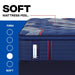 Sealy Albany II Spring Mattress - Massey's Furniture Barn (Watertown, NY) 