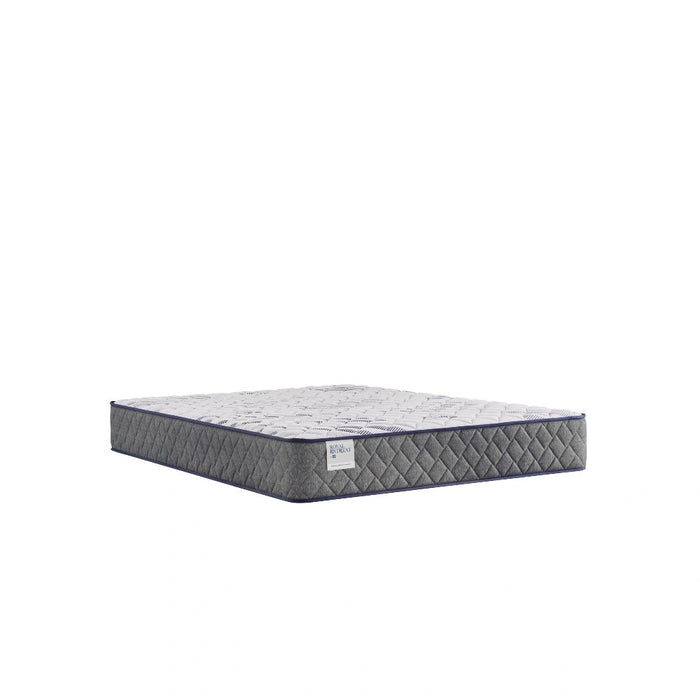 Sealy Provision Innerspring Mattress - Massey's Furniture Barn (Watertown, NY) 