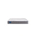 Sealy First & Park Foam Mattress - Massey's Furniture Barn (Watertown, NY) 