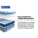 Lansdale Hybrid Mattress - Massey's Furniture Barn (Watertown, NY) 