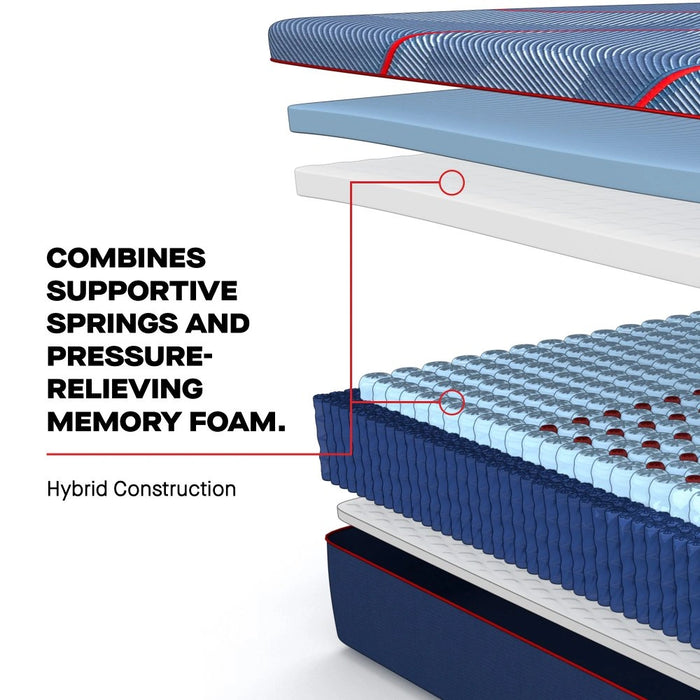 Sealy Albany II Hybrid Mattress - Massey's Furniture Barn (Watertown, NY) 
