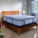 Sealy Dupont II Spring Mattress - Massey's Furniture Barn (Watertown, NY) 