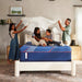 Sealy Brenham II Hybrid Mattress - Massey's Furniture Barn (Watertown, NY) 