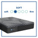Albany Foam Mattress - Massey's Furniture Barn (Watertown, NY) 