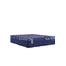Sealy Annapolis Hybrid Mattress - Massey's Furniture Barn (Watertown, NY) 
