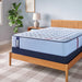 Equus Spring Mattress - Massey's Furniture Barn (Watertown, NY) 