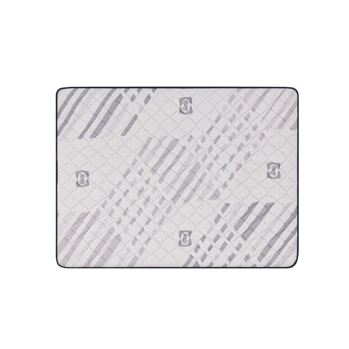Sealy Murry Hill Innerspring Mattress - Massey's Furniture Barn (Watertown, NY) 