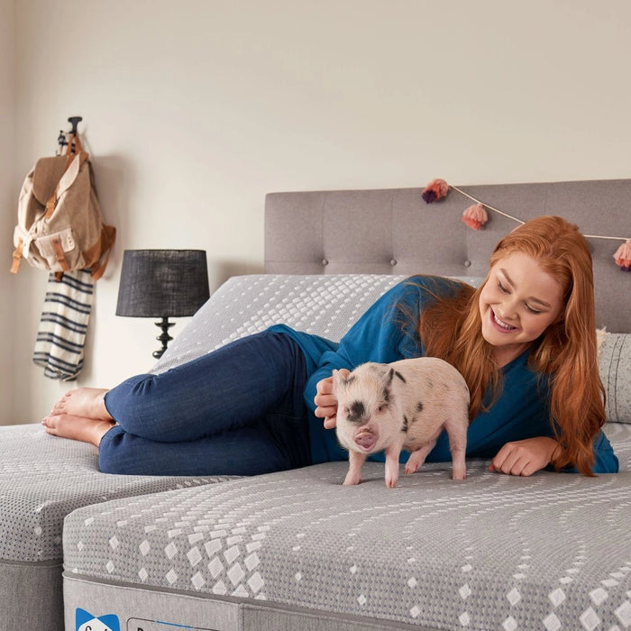 Oriole Hybrid Mattress - Massey's Furniture Barn (Watertown, NY) 