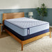 Sealy Medina II Spring Mattress - Massey's Furniture Barn (Watertown, NY) 