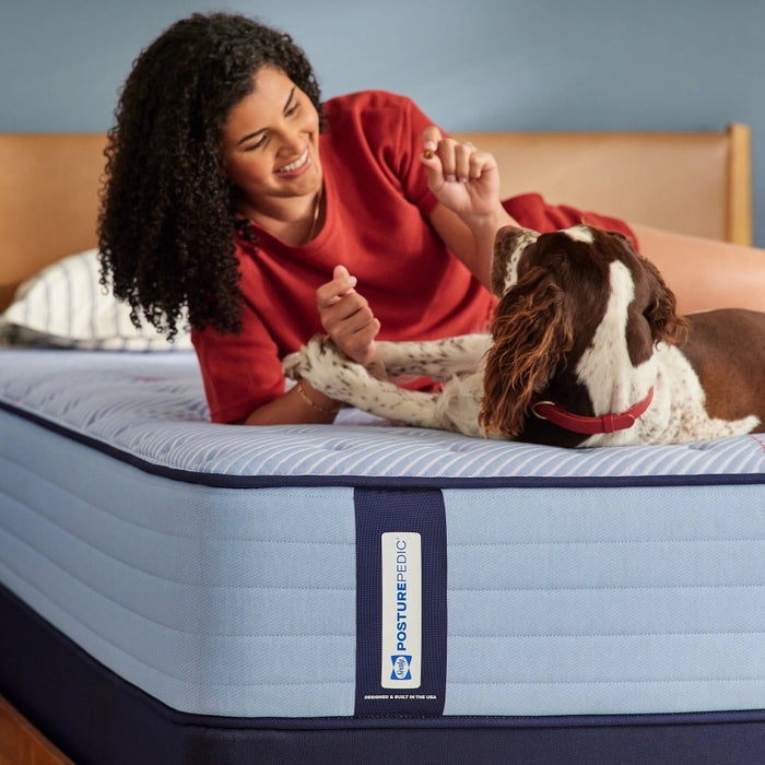 Dallas Spring Mattress - Massey's Furniture Barn (Watertown, NY) 