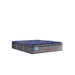 Sealy Pura Vida Innerspring Mattress - Massey's Furniture Barn (Watertown, NY) 