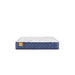 Palace Park Innerspring Mattress - Massey's Furniture Barn (Watertown, NY) 